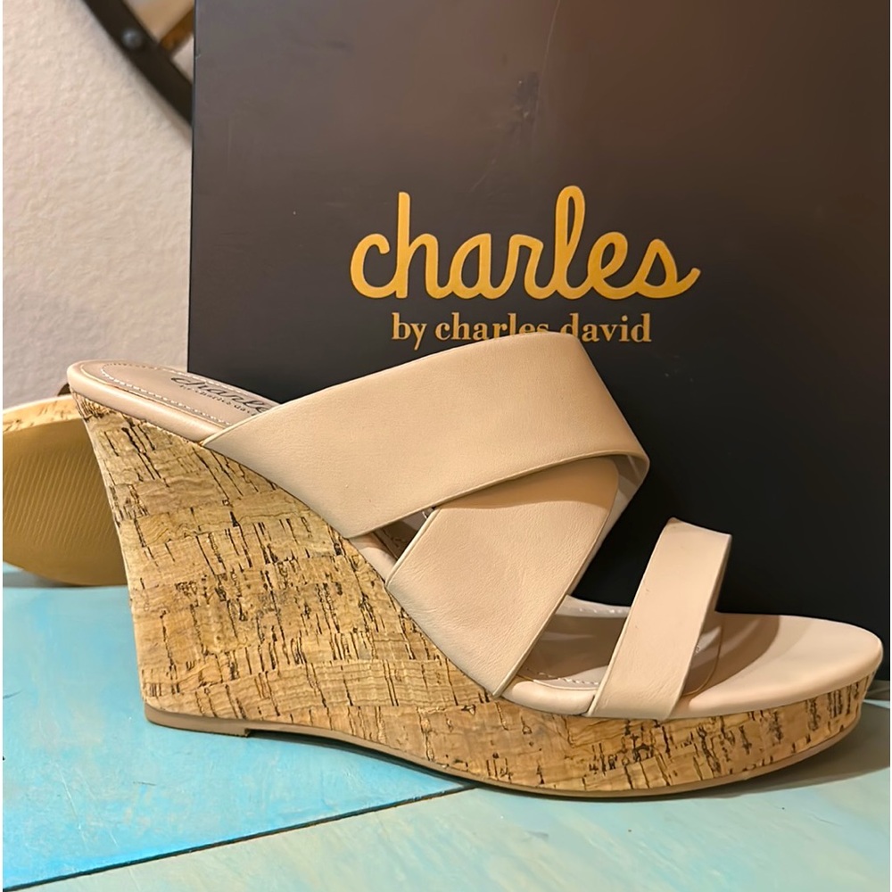 Charles and David sandals new in box